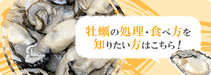 牡蠣（かき）なら赤穂市坂越『さこし』にある「鎌島水産」まで！産地直産の生牡蠣は豊かな自然が育てた自慢の牡蠣。『かましま水産』 牡蠣の処理・食べ方を知りたい方はこちら
