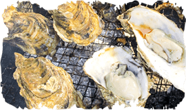 牡蠣（かき）なら赤穂市坂越『さこし』にある「鎌島水産」まで！産地直産の生牡蠣は豊かな自然が育てた自慢の牡蠣。『かましま水産』